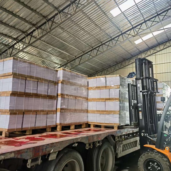 试卷纸20